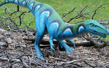 Bir Velociraptor dinozor