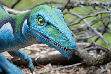 Bir Velociraptor dinozor