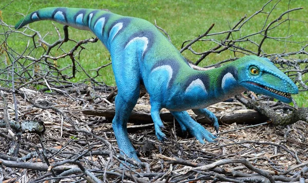 Bir Velociraptor dinozor — Stok fotoğraf