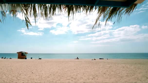 Abertura bela praia e areia dourada — Vídeo de Stock