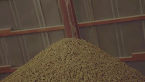 Соєвий макуха, залита в купі на переробному заводі сої — стокове відео