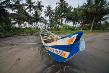 Yeşil palmiye ağaçları arka plan üzerinde plaj tekne