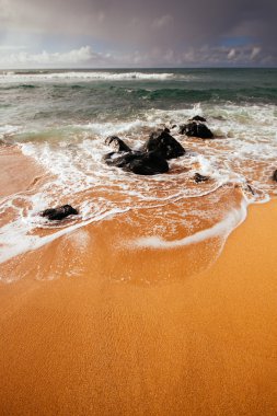 Sahil plaj Hawaii, kum ve su parlak güneşin altında