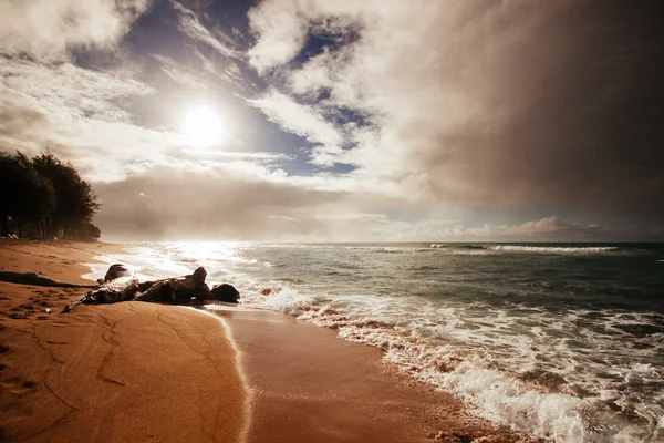 Playa de la costa en Hawaii, arena y agua bajo el sol brillante —  Fotos de Stock