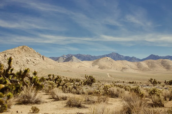 カリフォルニア州とネバダ州、アメリカの風景の道路 — ストック写真