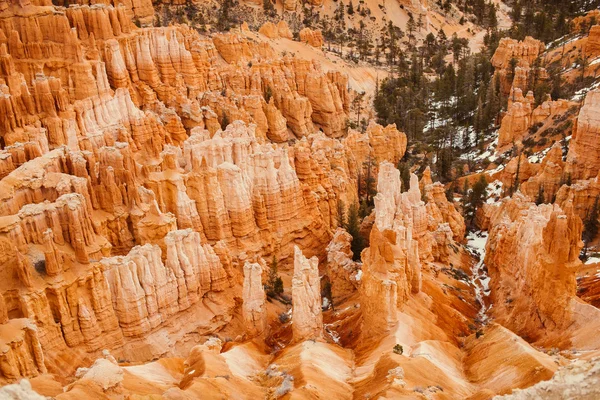 Bryce Canyon National Park - Utah, Verenigde Staten Rechtenvrije Stockafbeeldingen