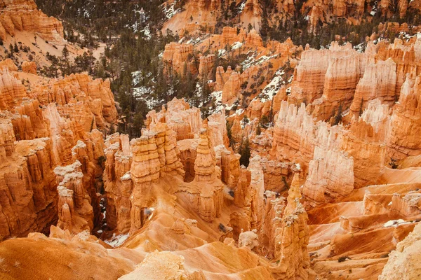 Bryce Canyon National Park - Utah, Verenigde Staten Stockafbeelding