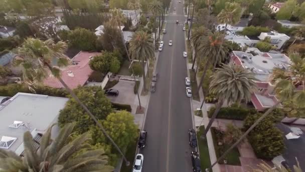 Luchtfoto. Vliegen over weg met palmen La Beverly Hills, Californië — Stockvideo