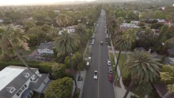 Aérien. Survoler la route avec des palmiers Beverly Hills LA, Californie — Video