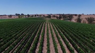 Hava. Boş alanın üzerinde uçan.