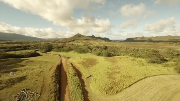 Aerial Shoot Fields on island Kauai. Hawaii. — Stock Video
