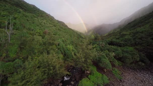 空中撮影のレインボー背景の野生のジャングルと川で。Hanakapiai ビーチ。カウアイ島。ハワイ. — ストック動画