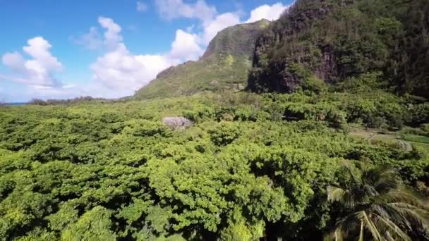 Aerial Shoot of jungle Haena State Park on island of Kauai. Hawaii. — Stock Video