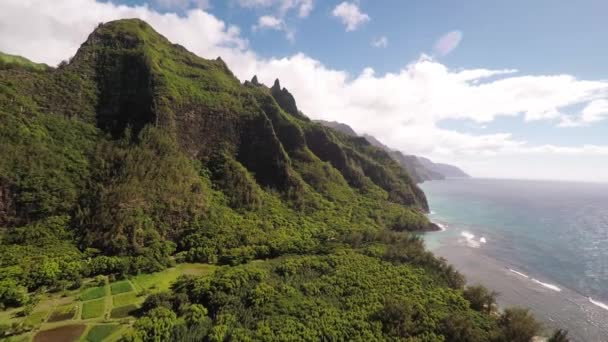 Aerial Shoot of jungle Haena State Park (en inglés). Ke 'e Beach. Island Kauai. Hawái — Vídeos de Stock