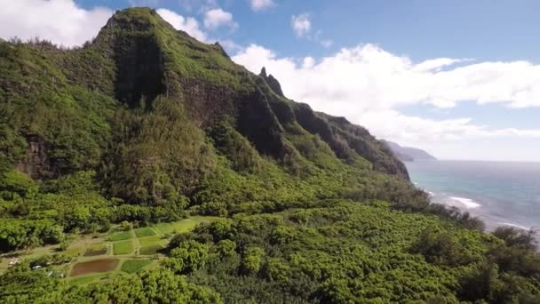 Scatto aereo del parco statale della giungla di Haena. Ke'e Beach. Isola di Kauai. Hawaii — Video Stock