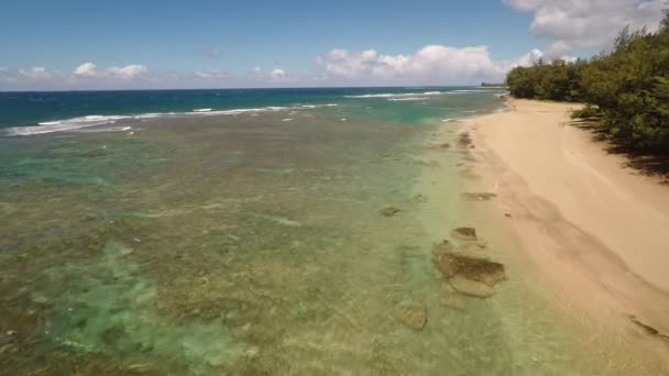 Skyter fra luften Ke 'e Beach. Øya Kauai. Til Hawaii. Stillehavet . – stockvideo