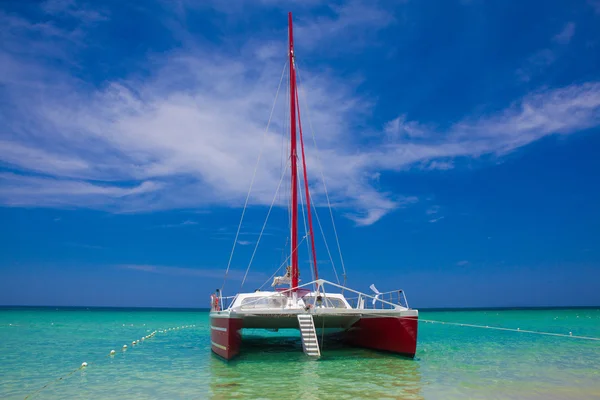 Catamarán — Foto de Stock