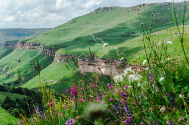 Гришкина Балка