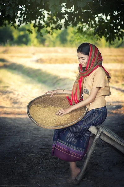 Mulher trabalhando — Fotografia de Stock