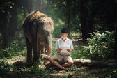 Kind liest Buch mit Elefant