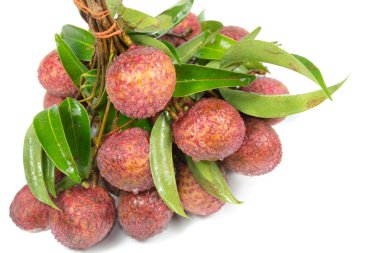 Lychee - Chakrapad türler