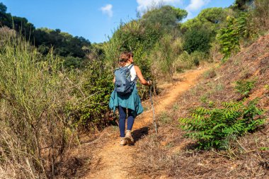 Sağlıklı ve aktif yaşam tarzını seven yaşlı bir kadın yaz boyunca doğal ve yeşil bir çevrede sırt çantası ve yürüyüş direkleriyle kirli bir yolda yokuş yukarı yürüyor.