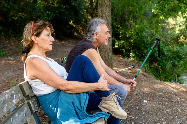 Yaşlı çift ahşap bir bankta oturuyor, yürüyüşlerine ara veriyorlar, temiz havanın tadını çıkarıyorlar ve yeşil ağaçlarla çevrili aktif bir açık hava yaşam tarzına giriyorlar.