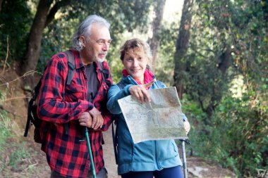 Üst düzey bir çift aktif bir yaşam tarzını seviyor, haritayla bir patikada geziniyorlar, sırt çantaları takıyorlar ve yeşil bir ormanda doğayı keşfederken yürüyüş direkleri kullanıyorlar.