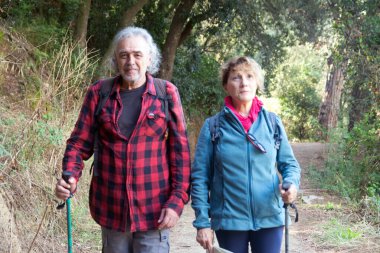 Üst düzey bir çift orman yolunda yürüyüş yapıyor sırt çantaları ve kuzey yürüyüş direkleriyle, doğanın tadını çıkarıyorlar, aktif emeklilik, arkadaşlık ve açık hava eğlencesi yeşil ağaçların arasında.