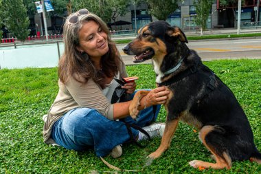 Gündüzleri yeşil çimenlerde oturan bir kadın, melez köpeğini bir fırçayla sevgiyle tımar ediyor, sorumlu bir hayvan bakımı, arkadaşlık ve arkadaşlık gösterisi yapıyor.