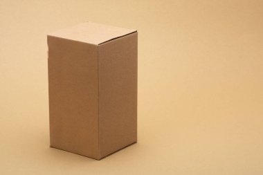 Brown cardboard box standing vertically on a light studio background, empty and unbranded, symbolizing shipping, delivery, packaging, storage, e commerce and sustainable materials