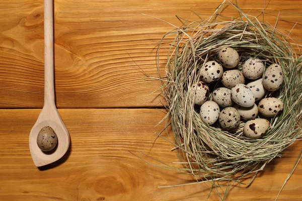 La composición de huevos de codorniz en un nido de hierba y cuchara de madera acostado en un panel de tableros marrones vintage con espacio libre para la publicidad de texto de la comida o el diseño de menú de restaurante . — Foto de Stock