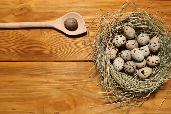 La composición de huevos de codorniz en un nido de hierba y cuchara de madera acostado en un panel de tableros marrones vintage con espacio libre para la publicidad de texto de la comida o el diseño de menú de restaurante . — Foto de Stock