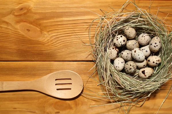 La composición de huevos de codorniz en un nido de hierba y cuchara de madera acostado en un panel de tableros marrones vintage con espacio libre para la publicidad de texto de la comida o el diseño de menú de restaurante . — Foto de Stock