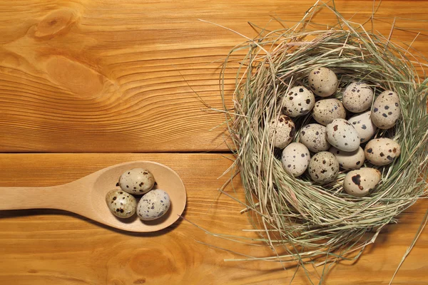 La composición de huevos de codorniz en un nido de hierba y cuchara de madera acostado en un panel de tableros marrones vintage con espacio libre para la publicidad de texto de la comida o el diseño de menú de restaurante . — Foto de Stock