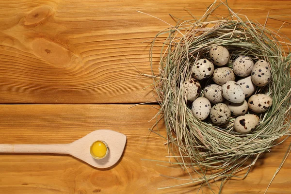 La composición de huevos de codorniz en un nido de hierba y cuchara de madera acostado en un panel de tableros marrones vintage con espacio libre para la publicidad de texto de la comida o el diseño de menú de restaurante . — Foto de Stock