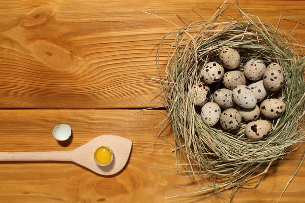 La composición de huevos de codorniz en un nido de hierba y cuchara de madera acostado en un panel de tableros marrones vintage con espacio libre para la publicidad de texto de la comida o el diseño de menú de restaurante . — Foto de Stock