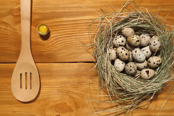 La composición de huevos de codorniz en un nido de hierba y cuchara de madera acostado en un panel de tableros marrones vintage con espacio libre para la publicidad de texto de la comida o el diseño de menú de restaurante . — Foto de Stock