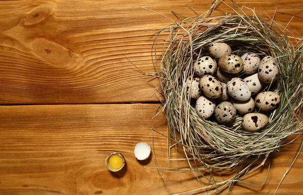 La composición de huevos de codorniz que yacen en un nido de hierba en un panel de tableros marrones vintage con espacio libre para la publicidad de texto de alimentos o diseño de menú de restaurante . — Foto de Stock