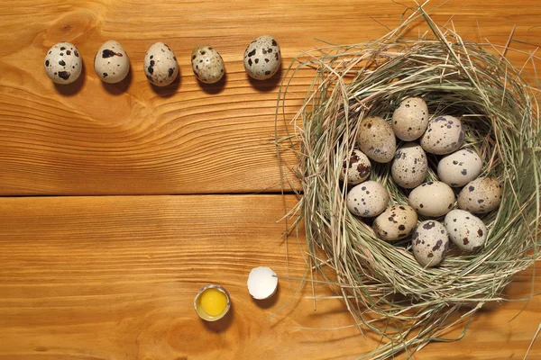 La composición de huevos de codorniz que yacen en un nido de hierba en un panel de tableros marrones vintage con espacio libre para la publicidad de texto de alimentos o diseño de menú de restaurante . — Foto de Stock