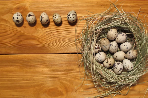 La composición de huevos de codorniz que yacen en un nido de hierba en un panel de tableros marrones vintage con espacio libre para la publicidad de texto de alimentos o diseño de menú de restaurante . — Foto de Stock