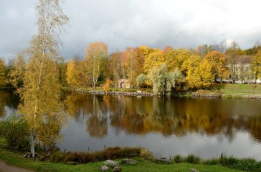 Priozersk Leningrad bölgesi sonbahar gölde