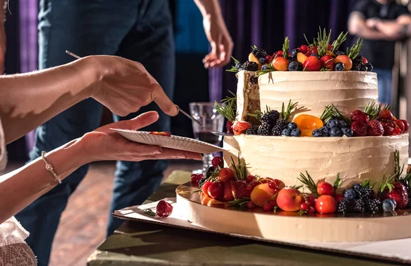 Yeni evliler birlikte güzel, iştah açıcı, düğün pastasından bir parça kestiler.