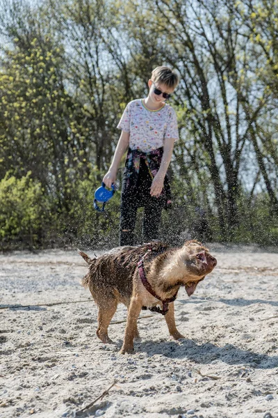 Zencefilli bir köpek, bir koruluğun yanındaki küçük bir sahilde yüzdükten sonra sudan sıyrılır, her yöne doğru uçar ve sahibi, genç bir kız, arkasında görülebilir..
