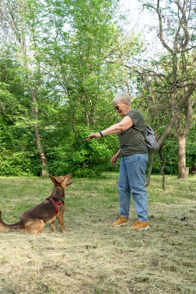Şık giyimli, yaşlı bir kadın köpeğini parkta gezdirir ve onunla oynar..