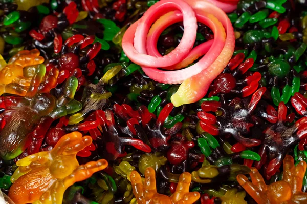 Büyük, sarmalanmış bir yılan şekeri diğer büyük örümcek şekerlemelerinin üzerinde yatıyor..