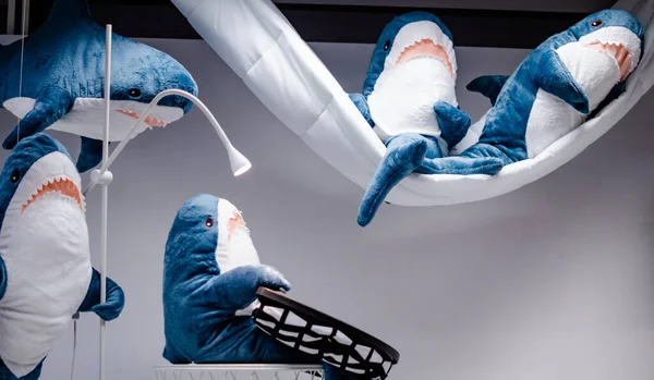 Köpekbalığı şekilli yumuşak oyuncaklar bir aile olarak sahnede sergilenir. Beyaz dişli güzel büyük köpek balıkları.