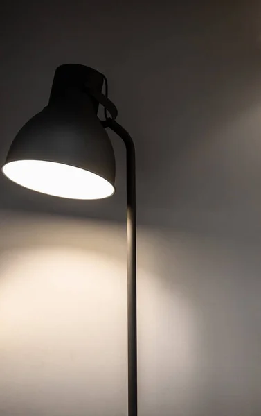 A black floor lamp shines on the gray wall.