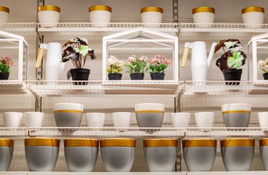 İki kişilik küçük bir bahçe masası beyaz plakalar, mavi ve beyaz şeffaf bardaklar ve vazoda bir dal yeşillik ile süslenir. Tabakların yanında beyaz mumlarla üç şamdan var..