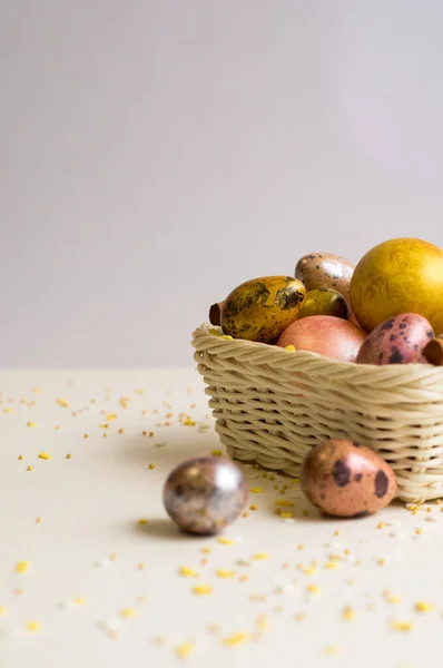 Paskalya tatili. Güzel, incilerin anası küçük bir sepetin içinde üniformalı bir arka planda yatıyor..